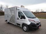Fiat Ducato Klima Webasto 150 Multijet - Fiat Ducato: Kleinbus, 7 Sitzer