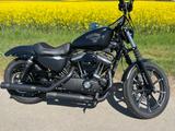 Harley-Davidson Iron 883 Sportster, Top Zustand, viele Umbauten!