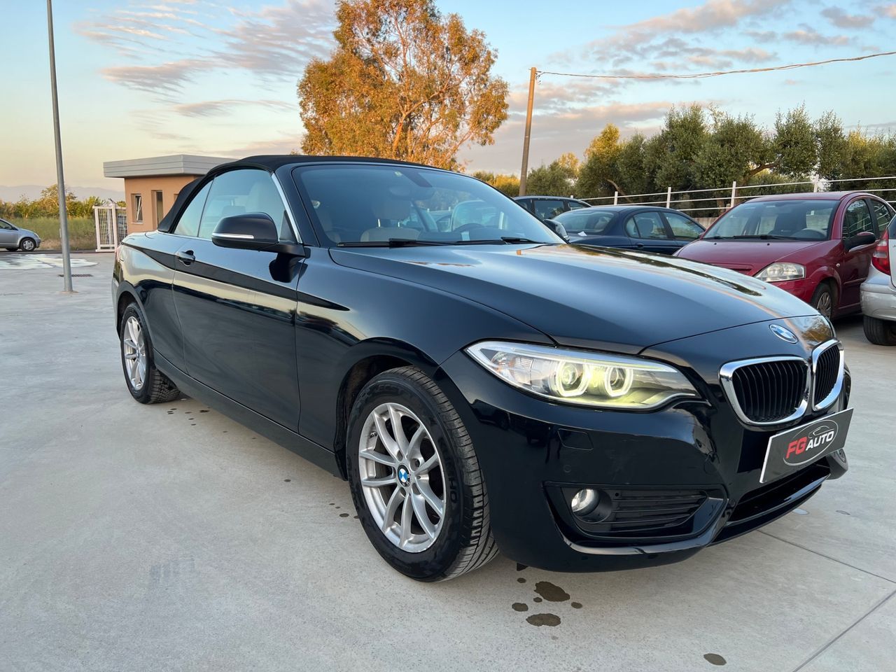 BMW Bmw 218 218i Cabrio Advantage