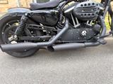 Harley-Davidson XL883N - HARLEY-DAVIDSON VON 751 BIS 1000 CCM