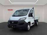Fiat Ducato Pritsche L1-KLIMA-STANDHZ-8FACH - Fiat Ducato: 8d