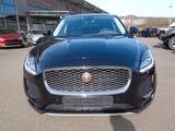 Jaguar E-Pace P250 S 4WD Automatik,Panorama - Jaguar E-Pace: P250