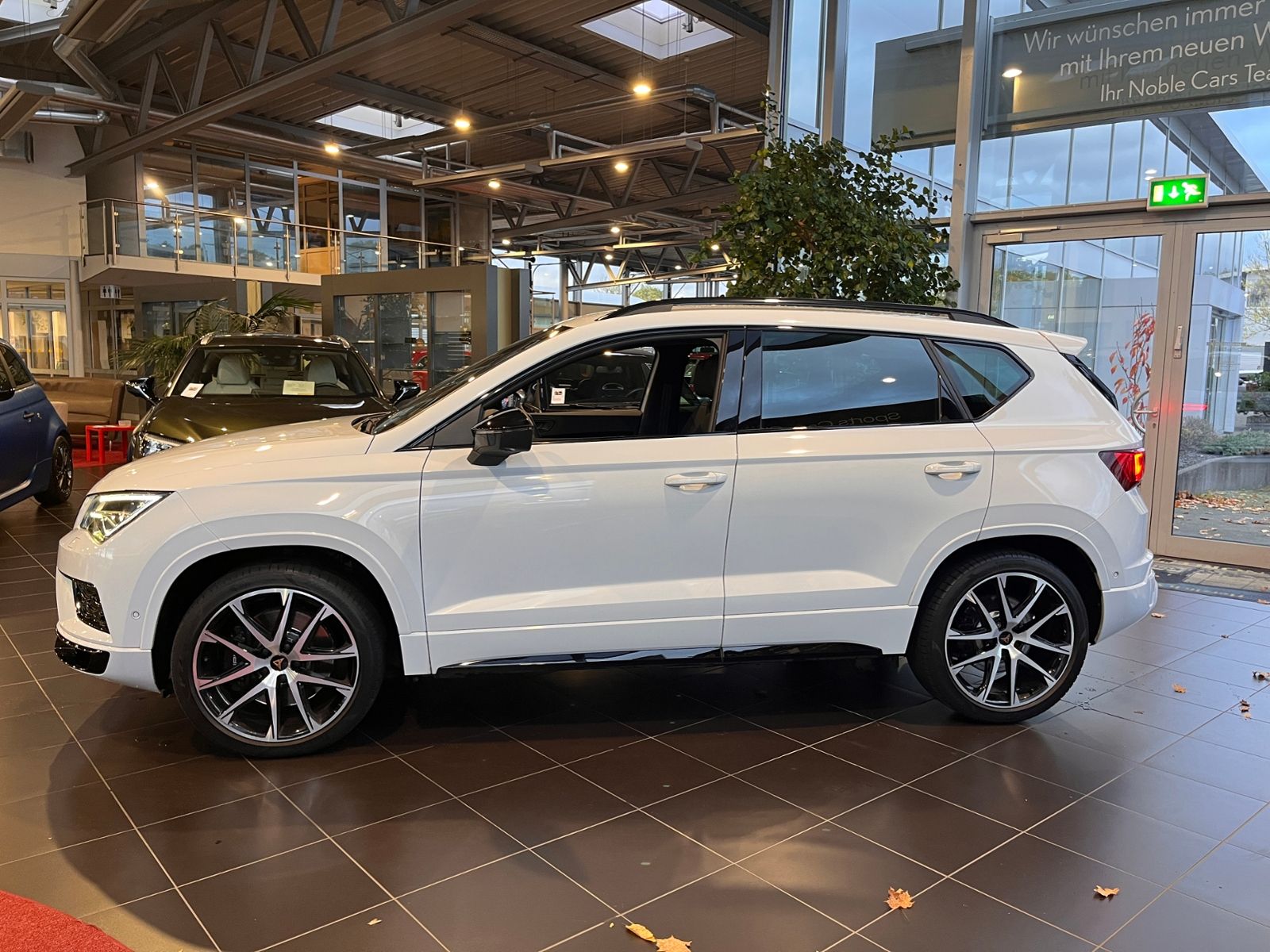 Fahrzeugabbildung CUPRA Ateca 4Drive BEATS 360° ACC LED