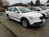 Skoda Octavia 2.0 TDI 4x4 Scout Combi Scout - Skoda Octavia aus 2011: Kombi