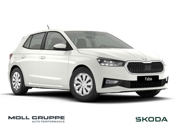 Skoda Fabia 1.0 TSI Selection 2xKLIMA ACC AUT KAM LED