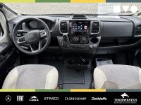Autohaus Thorwesten Gebrauchtwagen