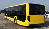 MAN Lion´s City C12, NEU,  mehrere Omnibusse !!!! - Omnibusse