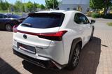 Lexus UX 250h E-FOUR F-SPORT 3 Jahre Garantie - Lexus aus 2019