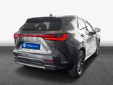 Lexus NX350h 4x4 Executive Alle Extras Modeljahr 26 - graue Lexus NX 350h