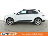 Porsche Macan Basis Aut.*NAVI*LED*TEMPO*CAM*PDC*AHK* - Porsche Macan in Karlsruhe