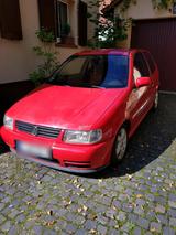 Volkswagen Polo 6n Color Concept - Volkswagen Polo: Concept