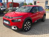 Citroën C4 1.2 Cactus Shine Automatik Kam Sitzhzg Klima - Citroën C4 Cactus: Automatik