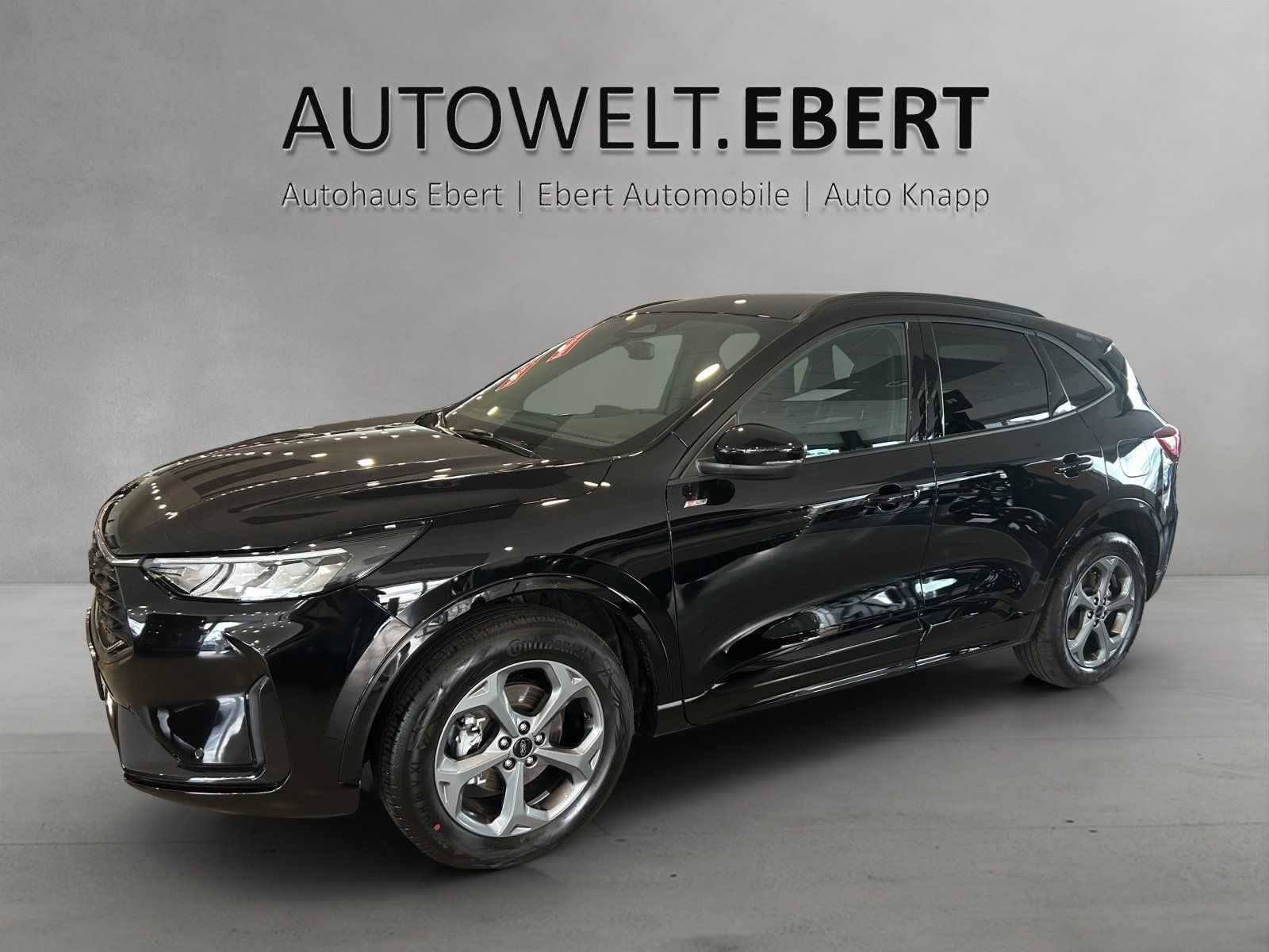 Fahrzeugabbildung Ford Kuga ST-Line FHEV,FGS 3/5 Jahre