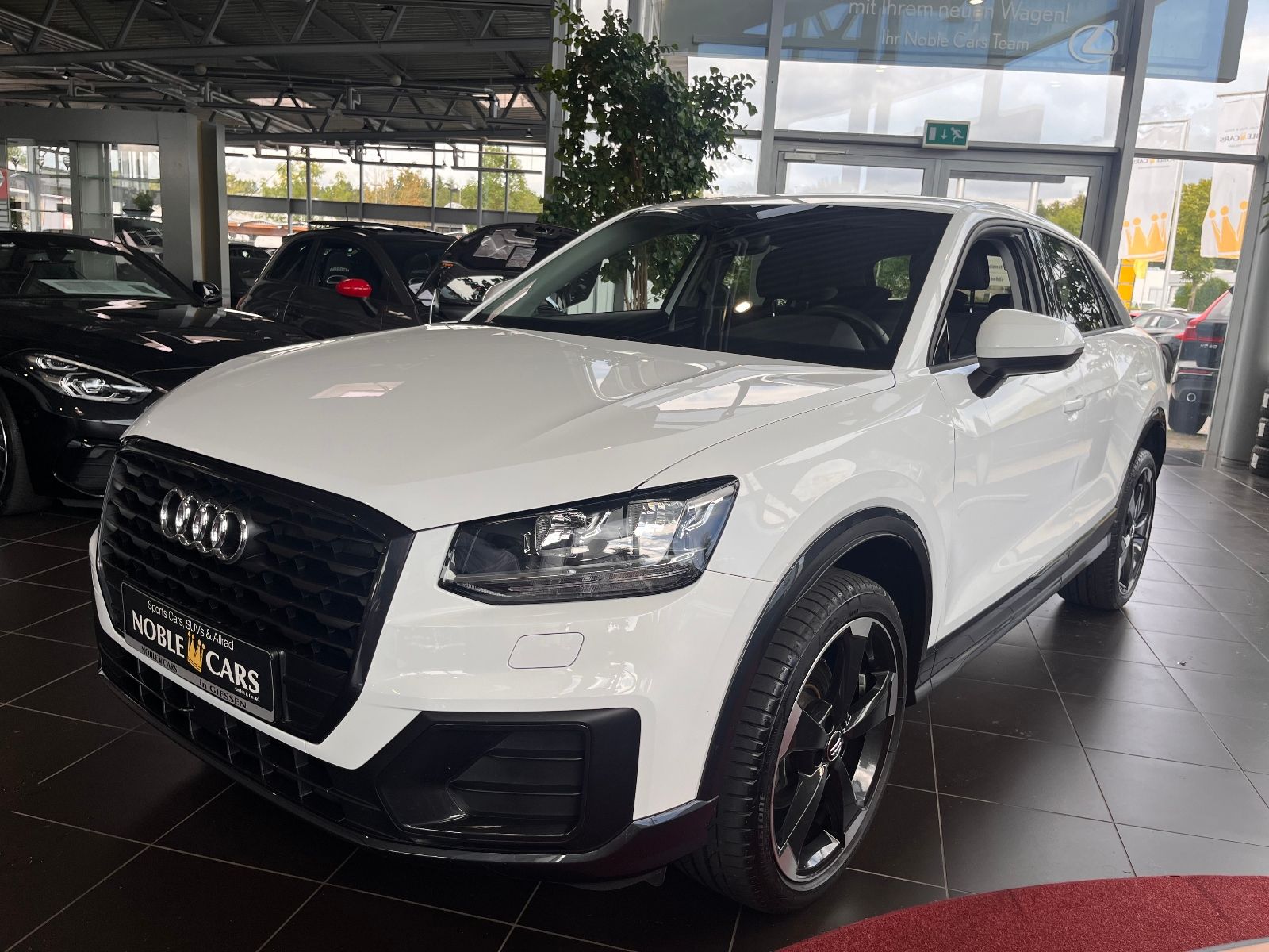 Fahrzeugabbildung Audi Q2 35 TFSI sport NAV SHZ 19"