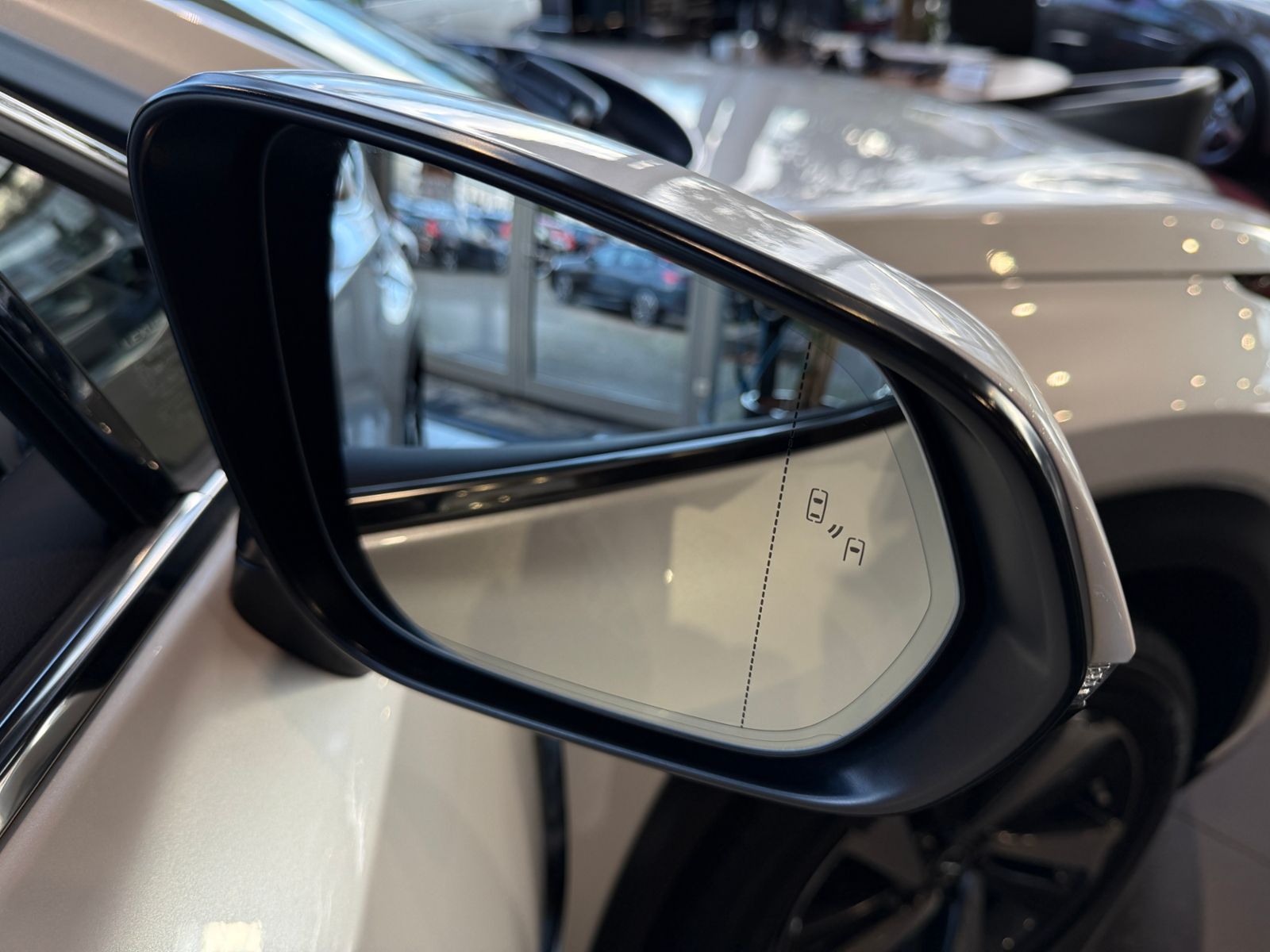 Fahrzeugabbildung Lexus NX 300h E-Four Luxury Line HUD 360° LED NAV