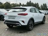 Kia XCeed 1.6T 150 DCT VISION KOMFORT - Kia XCeed: Limousine