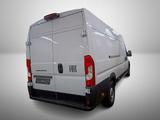 Fiat Ducato Maxi L4H2 Aut.*Cargo+*Visibility+*Worksit - gebrauchte Fiat Ducato aus dem Jahr 2024