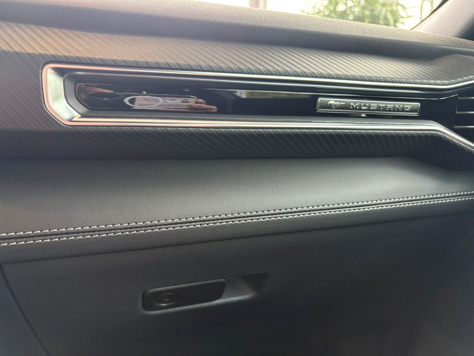 Fahrzeugabbildung Ford Mustang Fastback 5.0 Ti-VCT V8 328 GT/Sofort