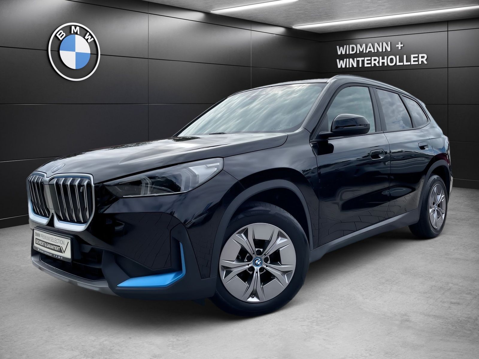BMW iX1 xDrive30 Navi DA adapt. LED DAB PA RFK foto 1