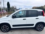 Fiat Panda 1.0 GSE S&S Hybrid Street Van 4 posti - mit Hybrid-Antrieb: Taxi