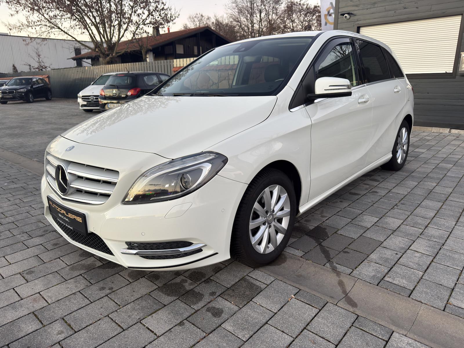 Mercedes-Benz B 220 4Matic LED | STANDHZG | LEDER | KAM
