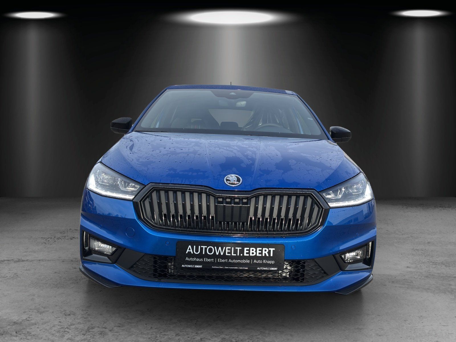 Fahrzeugabbildung SKODA Fabia Monte Carlo 1,0 TSI 85 kW DSG