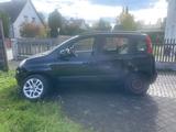 Fiat New Panda 1.2 8V - - schwarze Fiat New Panda