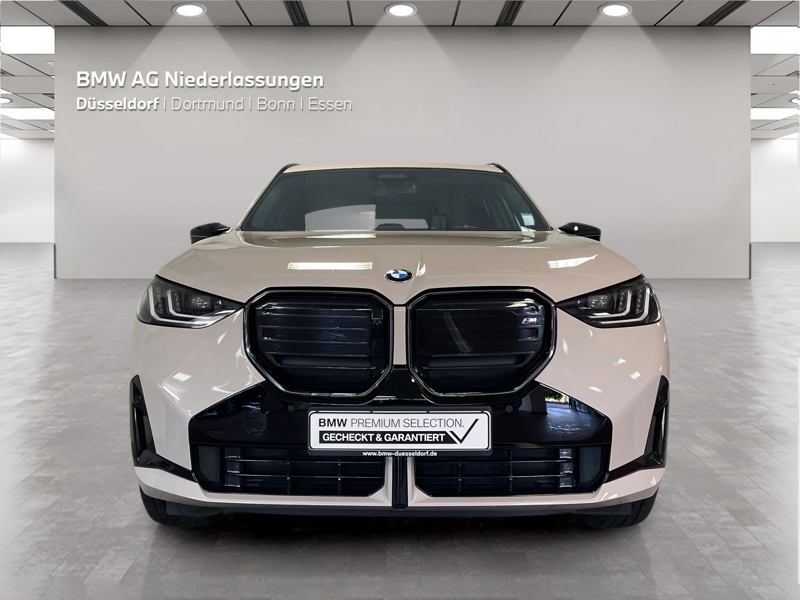 BMW X3 M50 - Bild 8