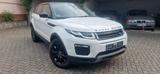Rover Range RoverEvoque TD4  SE - Rover Gebrauchtwagen