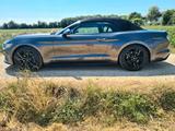 Ford Mustang 2.3 EcoBoost - Tüv/Service neu - Ford Mustang in München