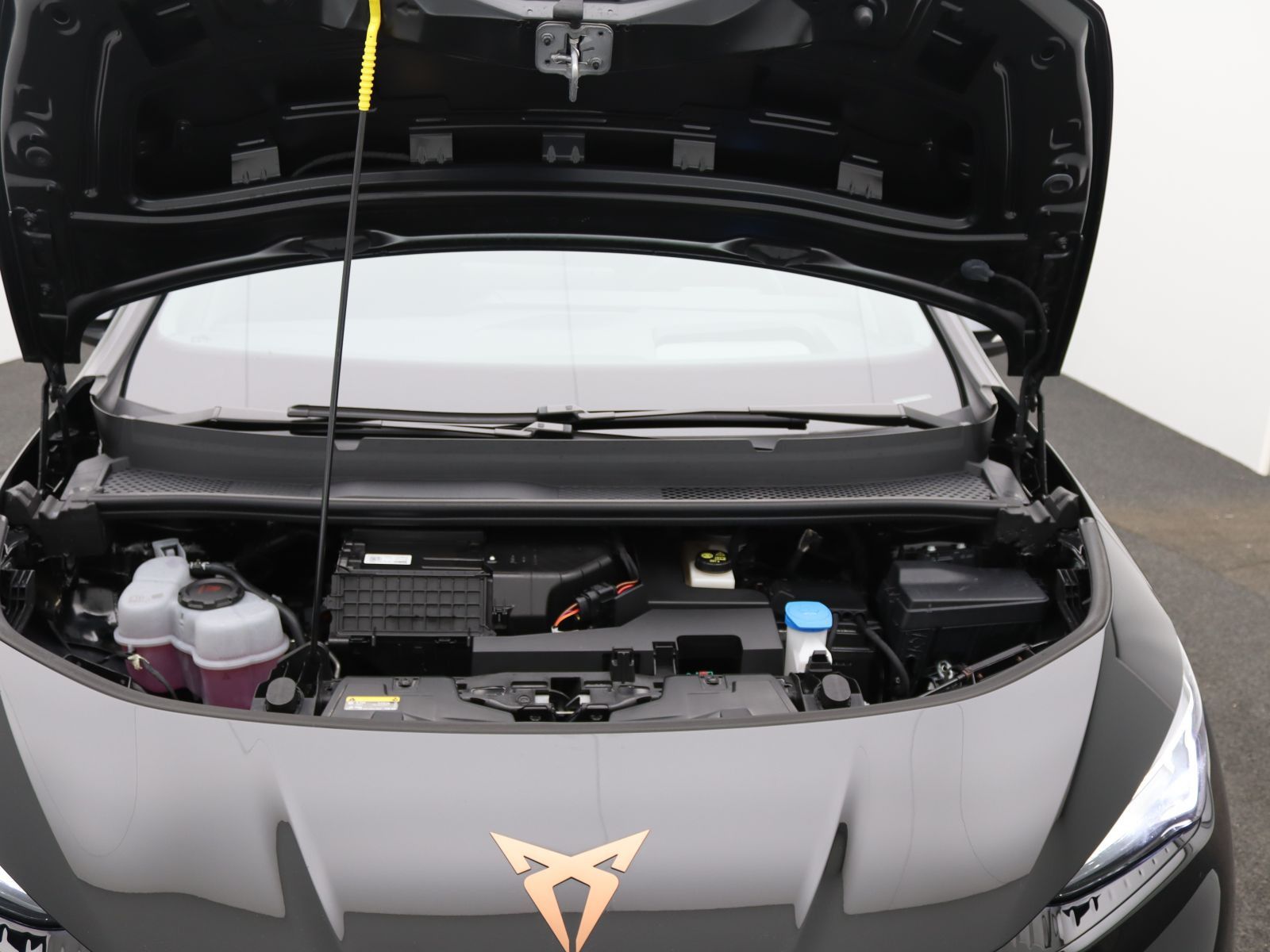 Cupra Born - Bild 19