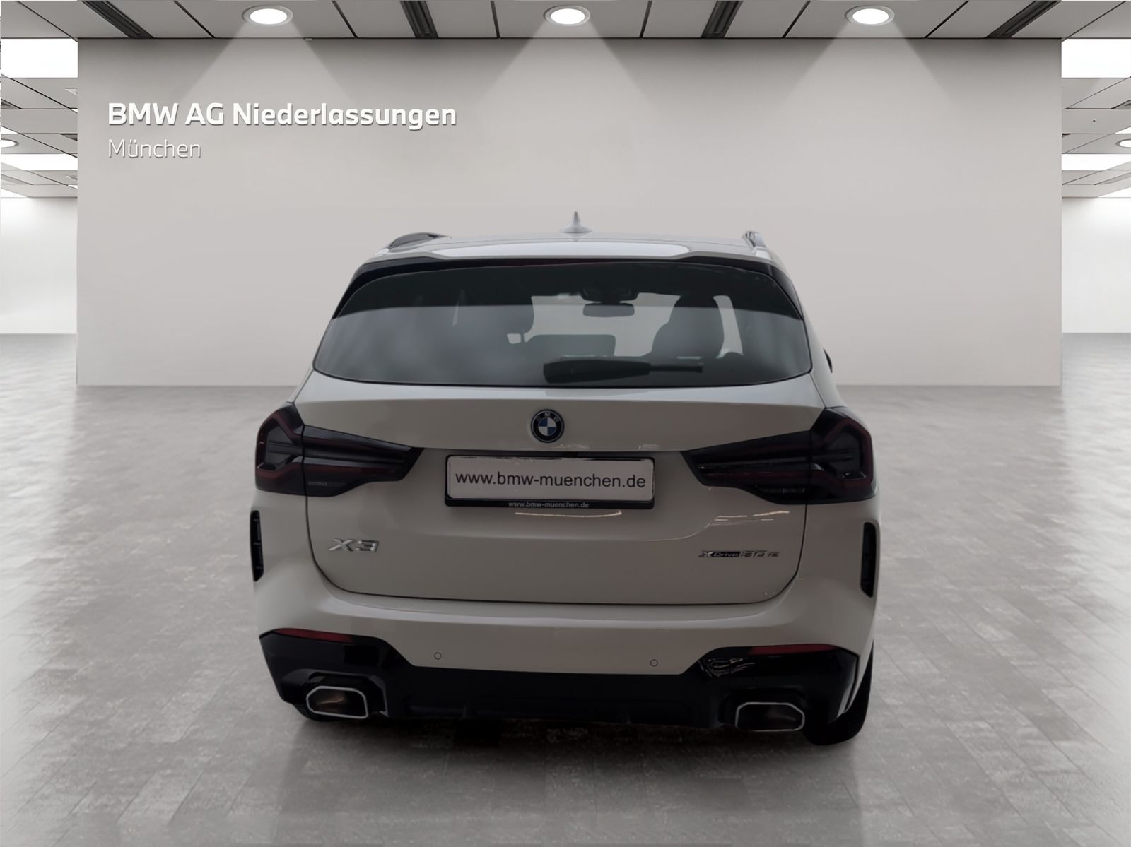 BMW X3 xDrive30e M Sport AHK Driv.Assist.Prof Laser foto 5