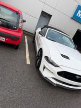 Ford Mustang 5.0 Ti-VCT V8 GT GT - Ford Mustang in Krefeld