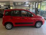 Fiat Panda 1.2 KLIMA PDC ISOFIX EL. FENSTERHEBER - Fiat Panda: Rot