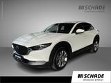 Mazda CX-30 2.0 SKYACTIV-G M Hybrid Selection *Matrix* - weiße Mazda CX-30