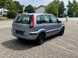 Ford Fusion Fun X 1.6 TDCI Klima 1-Hand 75.TKM - Ford Fusion mit Diesel-Antrieb