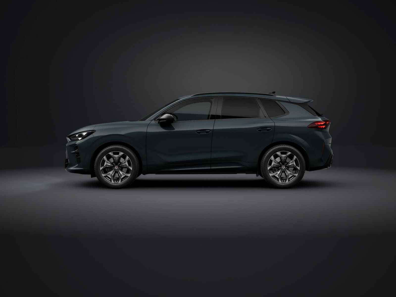 Cupra Terramar - Bild 2