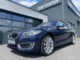 BMW 220 i Luxury Line / Navi / Bi-Xenon / Leder - mit Benzin-Antrieb Autos in Leipzig: Cabrio