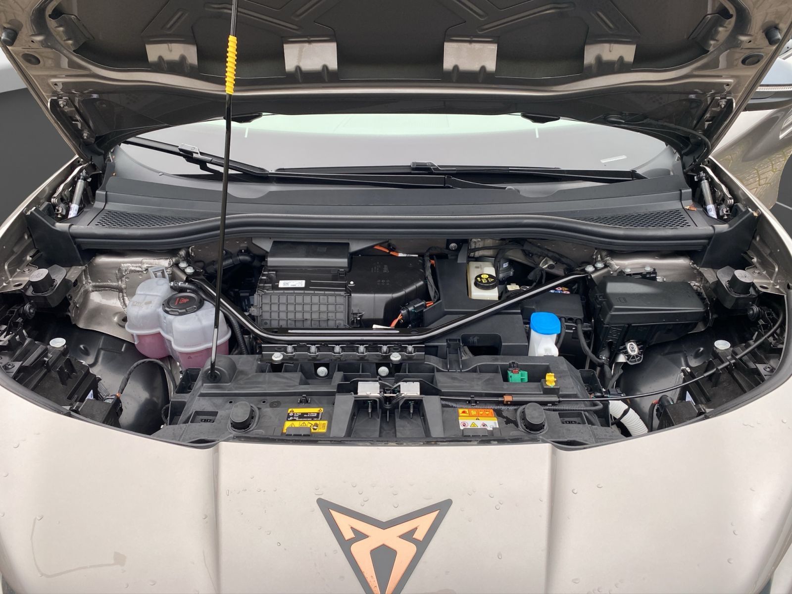 Cupra Tavascan - Bild 22