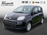 Fiat Panda 1.0 Mild Hybrid *DAB*Bluetooth*Klima*Freis - Fiat Panda Vorführfahrzeuge