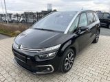 Citroën Grand C4 Space Tourer BlueHDi 160 S&S EAT8 Shine - Citroën: Space Tourer