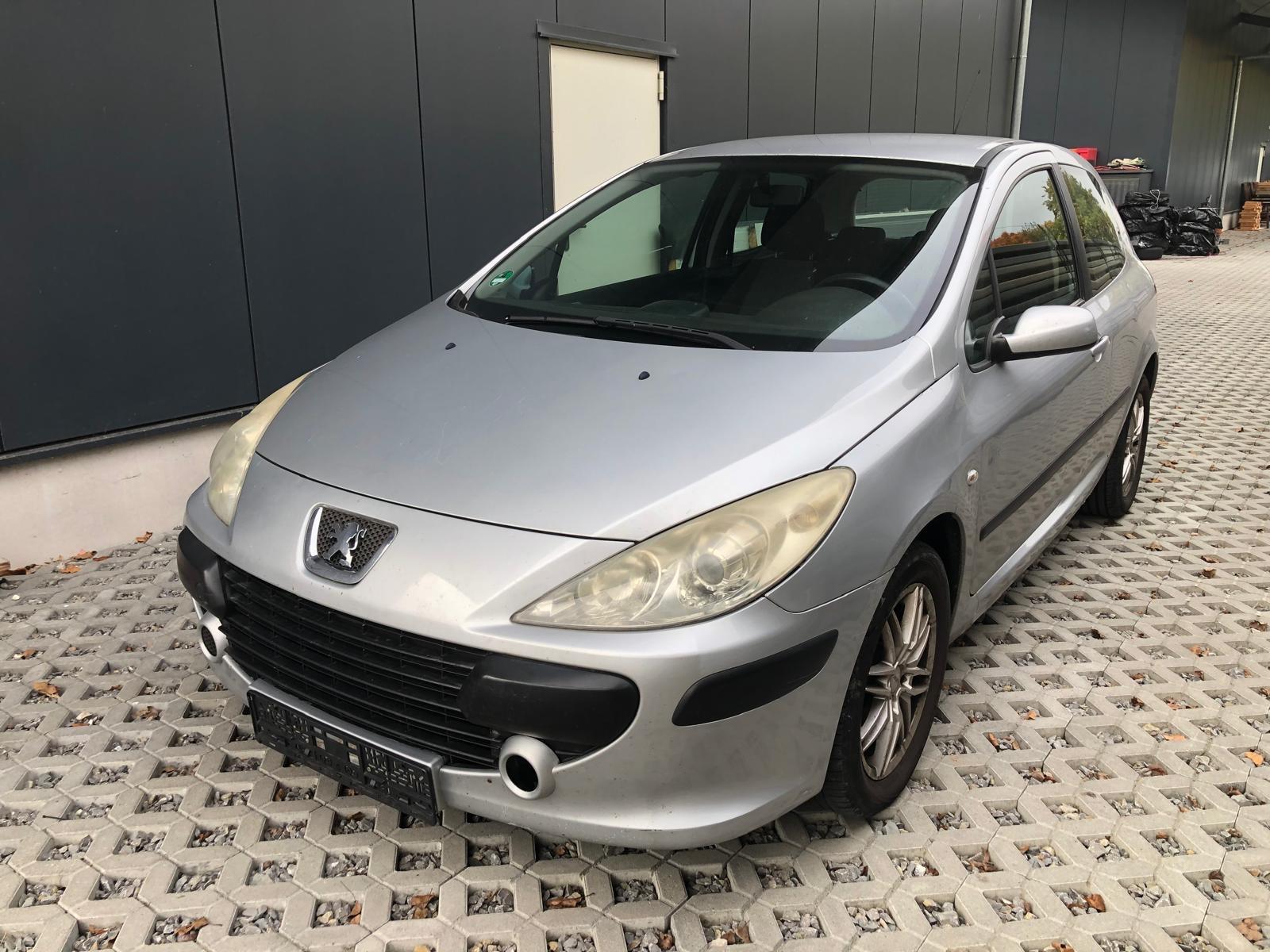 Peugeot 307 Grand Filou Cool