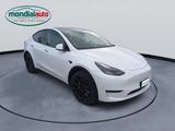 Tesla Model Y Long Range Dual Motor AWD - Tesla Model Y in Duisburg