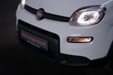 Fiat Panda 1.0 MY24 GSE Hybrid*Klima*4-Sitzer* - Fiat Panda: Sitzer