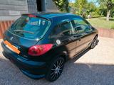 Peugeot 206 Petit Filou 75 Petit Filou