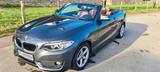 BMW 220i Steptr. Cabrio Adv. WR.  AHK, Kli. Led, Nav - BMW 220 in Aachen