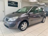 Renault Scenic Dynamique 1.6 16V/Klima/Alus - Renault Scenic in Leverkusen