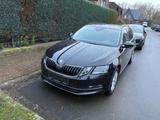 Skoda Oktavia Diesel 1,6 110 PS Kombi Schw... - Skoda Oktavia mit Diesel-Antrieb