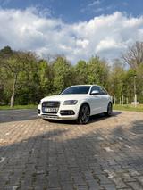 Audi SQ5 3.0 TDI V6 Quattro Navi AHK Pano SHZ 8-Fach  - weiße Audi SQ5