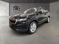 Skoda Karoq - Vorschau Bild 2